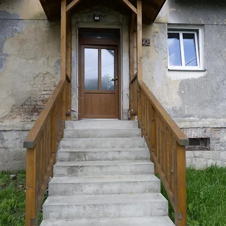 Boruvka Javorník