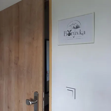 Boruvka Lejlighed Javorník